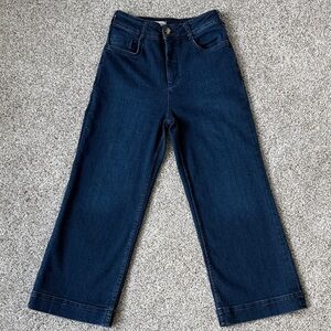 Pilcro Dark Blue Flare Jeans